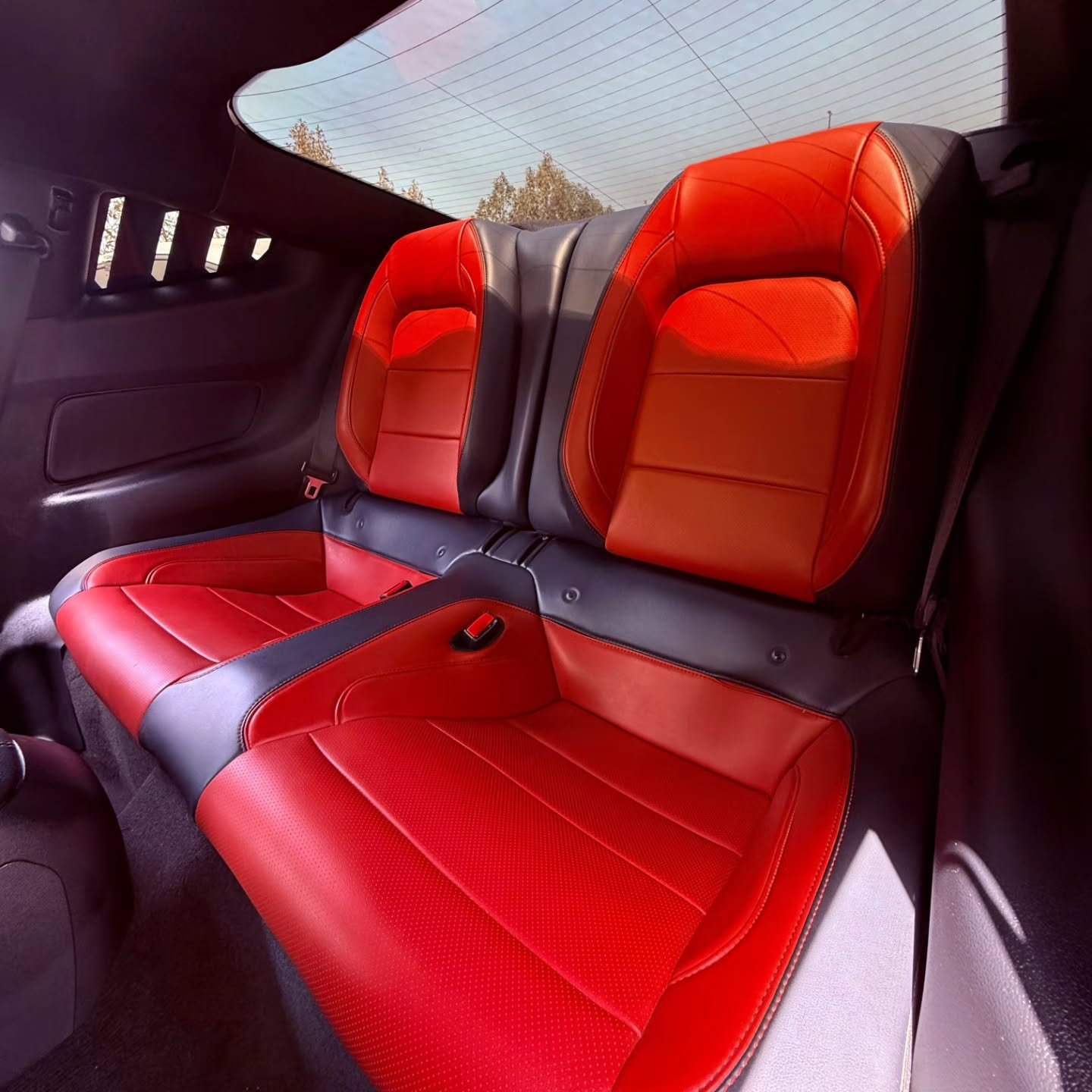 
2017 Ford Mustang GT full									